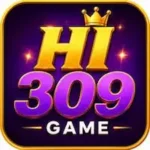 HI309 Game